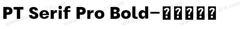 PT Serif Pro Bold字体转换